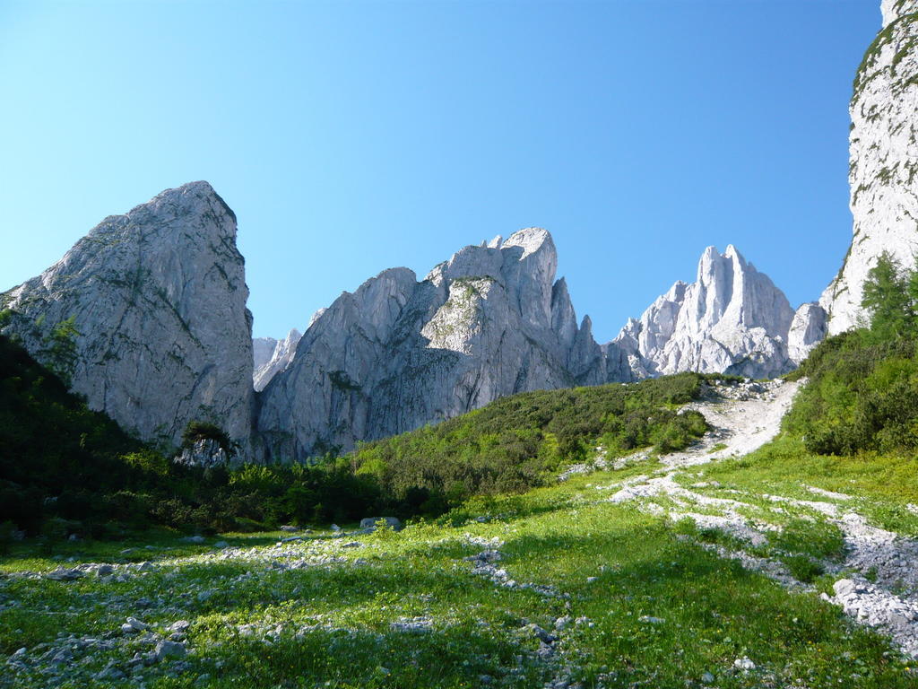 Gaestehaus Sieglinde Gosau Extérieur photo